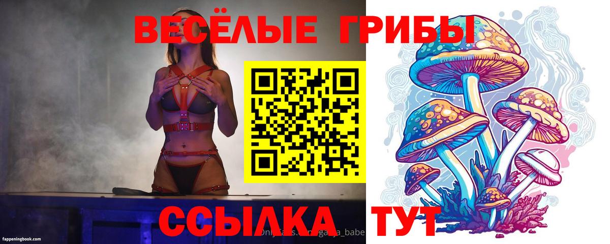Псилоцибиновые грибы Magic Shrooms  Галлюциногенные грибы Psilocybe  Елец  где найти наркотики  Вход с VPN 